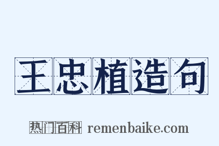 王忠植造句是什么意思的图片